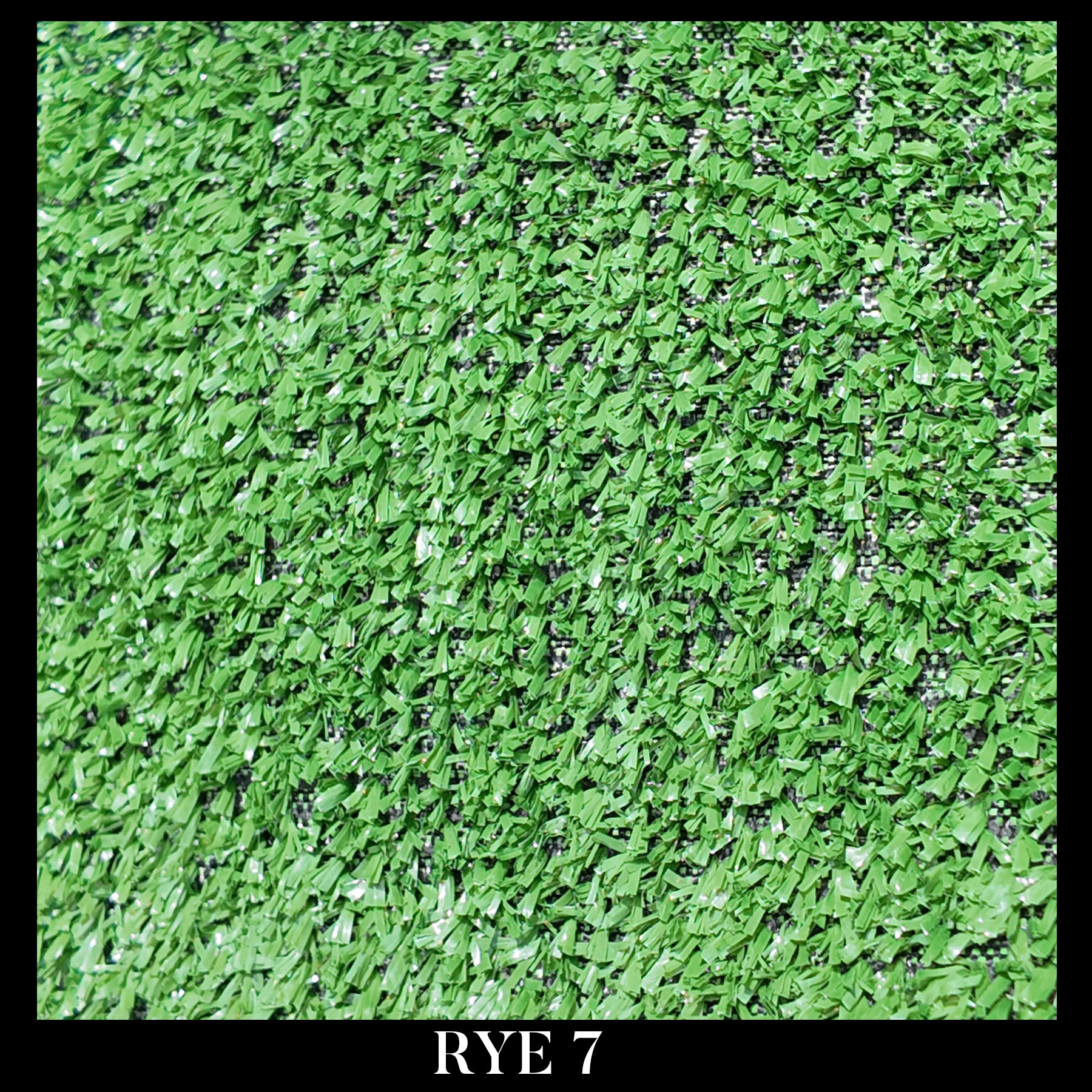 RYE 7